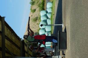 DSCN1148 DSCN1148