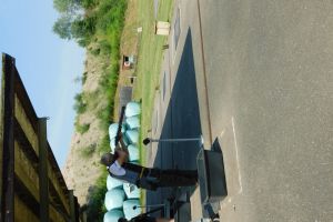 DSCN1156 DSCN1156