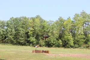 IMG 4491 IMG 4491