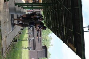 IMG 4494 IMG 4494