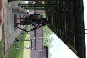 IMG 4495 IMG 4495